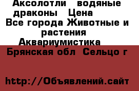 Аксолотли / водяные драконы › Цена ­ 500 - Все города Животные и растения » Аквариумистика   . Брянская обл.,Сельцо г.